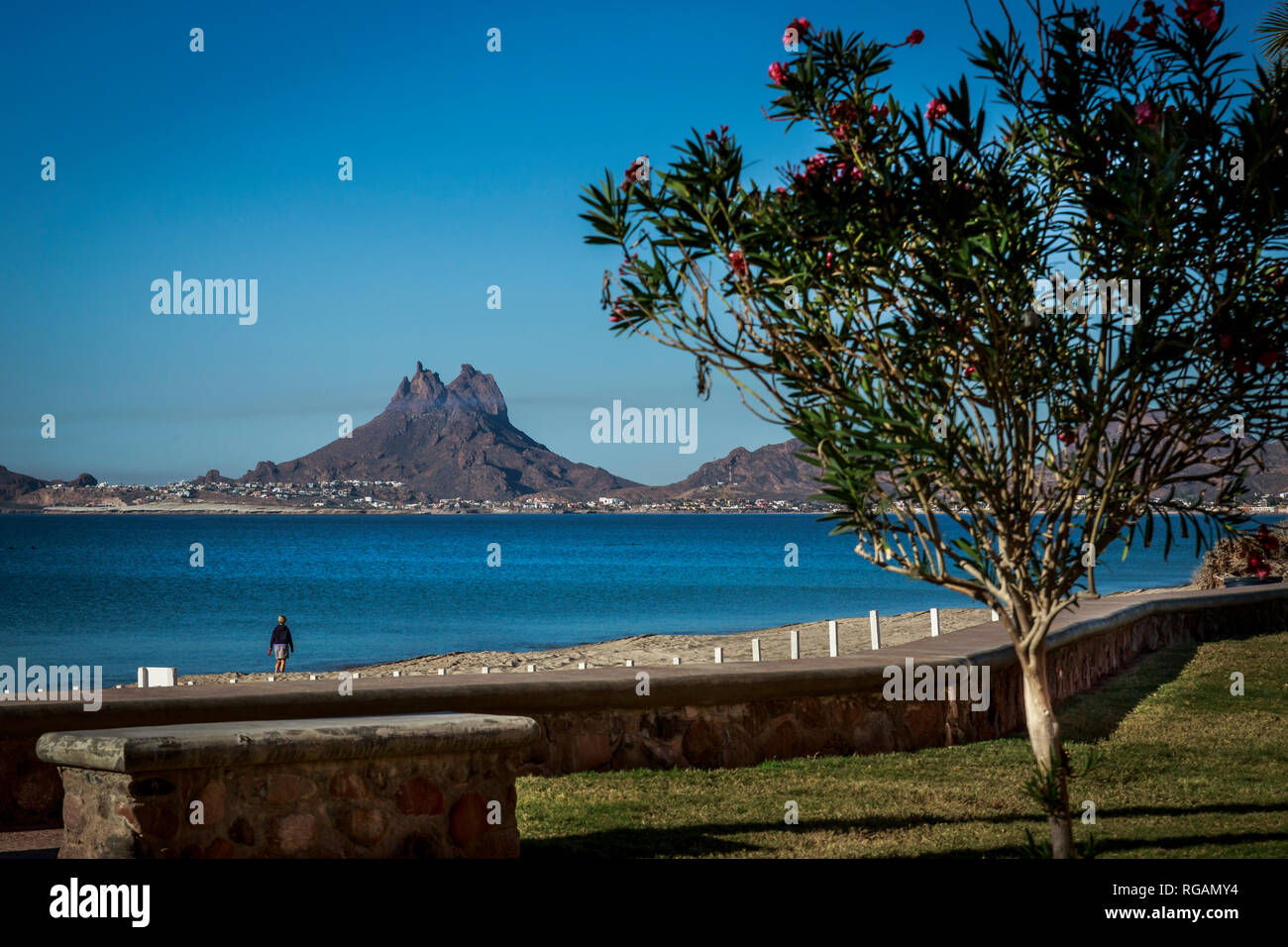 Montare Tetakawi come sfondo di una spiaggia di mattina walker sulla penisola di Bahia. Vicino a San Carlos, Sonora, Messico Foto Stock