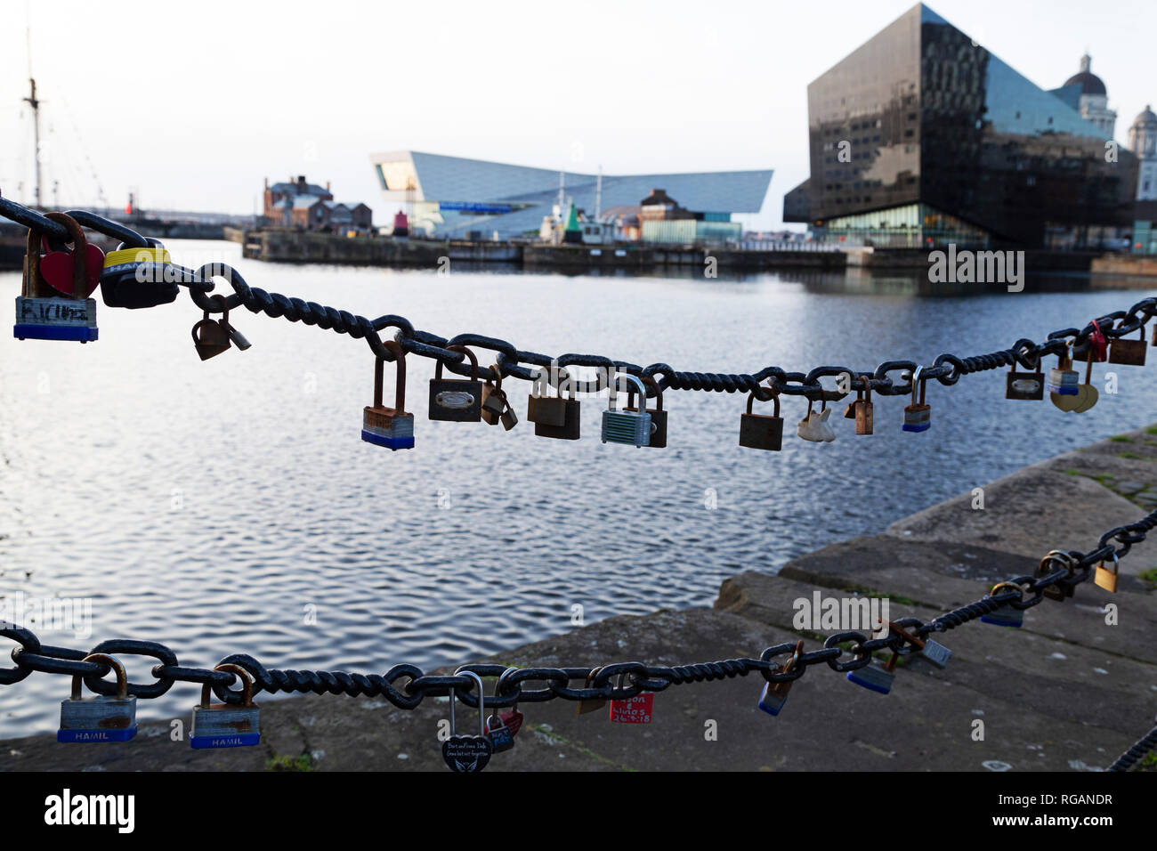 Lovelocks dal Dock di inscatolamento di Liverpool, in Inghilterra. Il Museo di Liverpool e RIBA Nord può essere vista attraverso l'acqua. Foto Stock