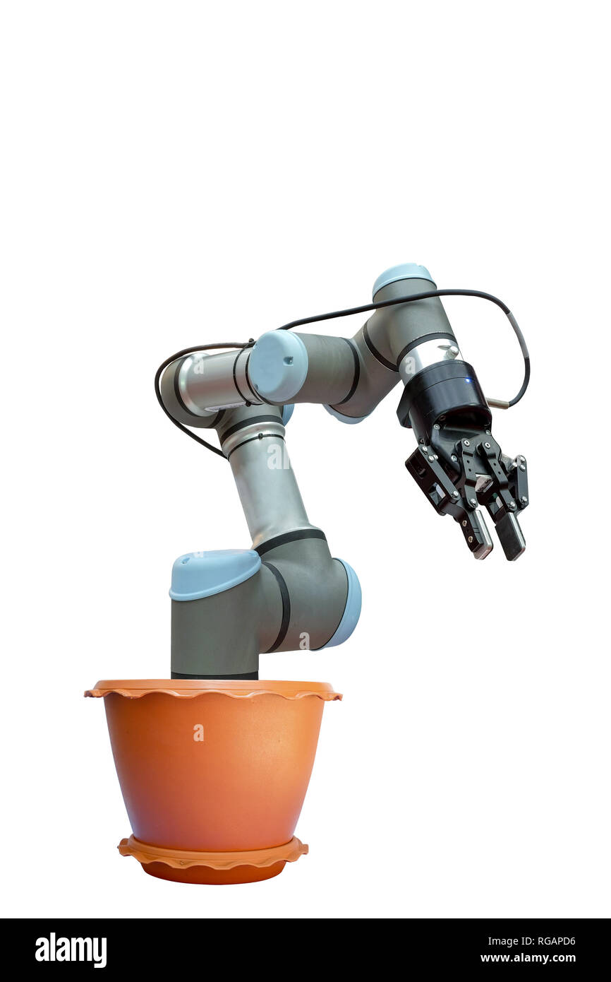 Robotica industriale in una pianta in vaso con il concetto di un futuro robotica industriale possono crescere come un raccolto, isolati su sfondo bianco Foto Stock