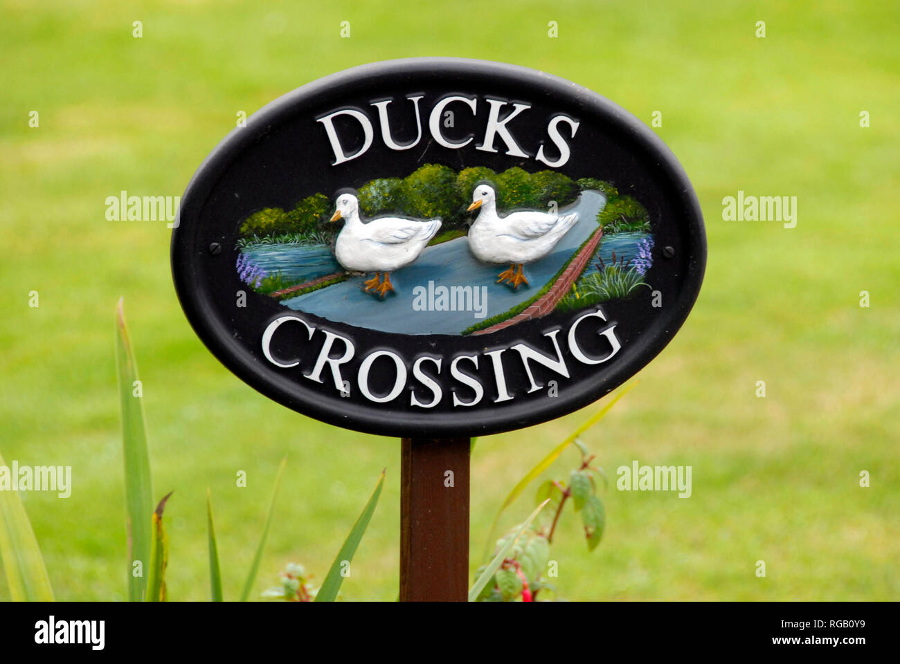 Attraente illustrato segno ' Anatre Crossing', Norfolk, Inghilterra Foto Stock