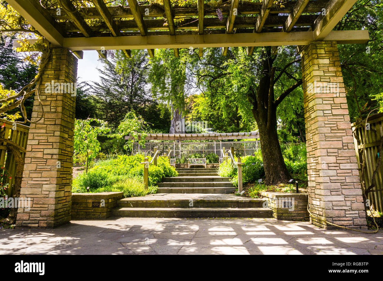 6 maggio 2018 San Francisco / CA / STATI UNITI D'AMERICA - vicolo lastricato nel Giardino Botanico Situato in Golden Gate Park Foto Stock