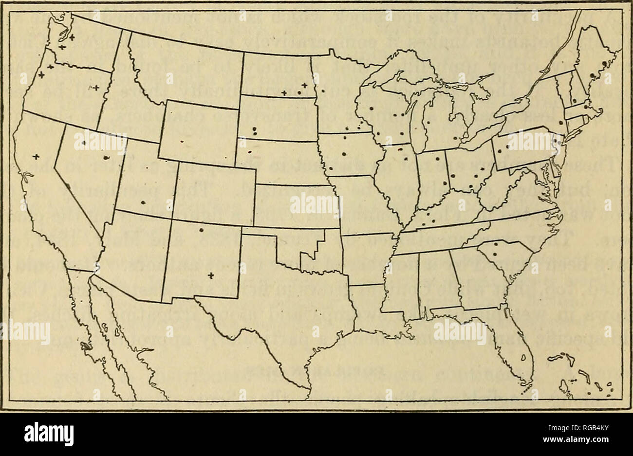 . Bollettino dell'U.S. Dipartimento di Agricoltura. Agricoltura; l'agricoltura. 6 Bollettino 69^ U. S. DIPARTIMENTO DI AGEICULTUEE. Dal francese è noto come ''Cigue vireuse," "Cigue tachetee" essendo applicato al Conium. Specie di CICUTA riportati come velenosi. Le seguenti specie di Cicuta sono stati riportati come velenosa: C. maculata, hulhifera, vagans, holanderi, occidentalis, californica, curtisii, douglasii, pelliccia'purea, tenuifolia e virosa. In alcuni casi questo beUef è sostenuta da una forte evidenza sperimentale. Questa prova è particolarmente forte in materia di maculata, vagans, occ Foto Stock