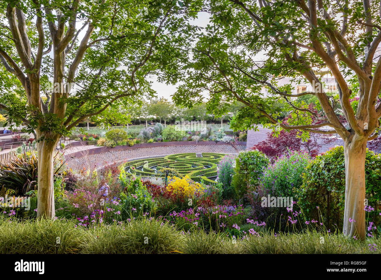 Giugno 8, 2018 Los Angeles / CA / STATI UNITI D'AMERICA - La lussureggiante Robert Irwin del giardino centrale di Getty Center Foto Stock