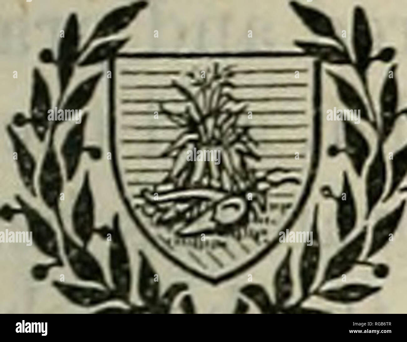 . Bollettino dell'U.S. Dipartimento di Agricoltura. Agricoltura; l'agricoltura. Reparto di Stati Uniti dell'agricoltura ) Bollettino n. 971 D^^. S&GT;J^'&lt;f^U contributo del Burean di Impiantistica Industriale WM. A. TAYLOR, Capo Washington, D. C. Carta professionale per il 3 dicembre. 1921 EREDITÀ DI RAMOSE infiorescenza nel mais. Da J. H. Kempton, assistente nelle colture di acclimatazione. Contenuto. Pagina. L'orecchio ramose variazione nel mais - 1 Descrizione dei genitori 3 prima generazione 4 seconda generazione 5 correlazione dell'orecchio caratteri della seconda generazione pagina 7. Terza generazione di 8 quarta, grande Foto Stock