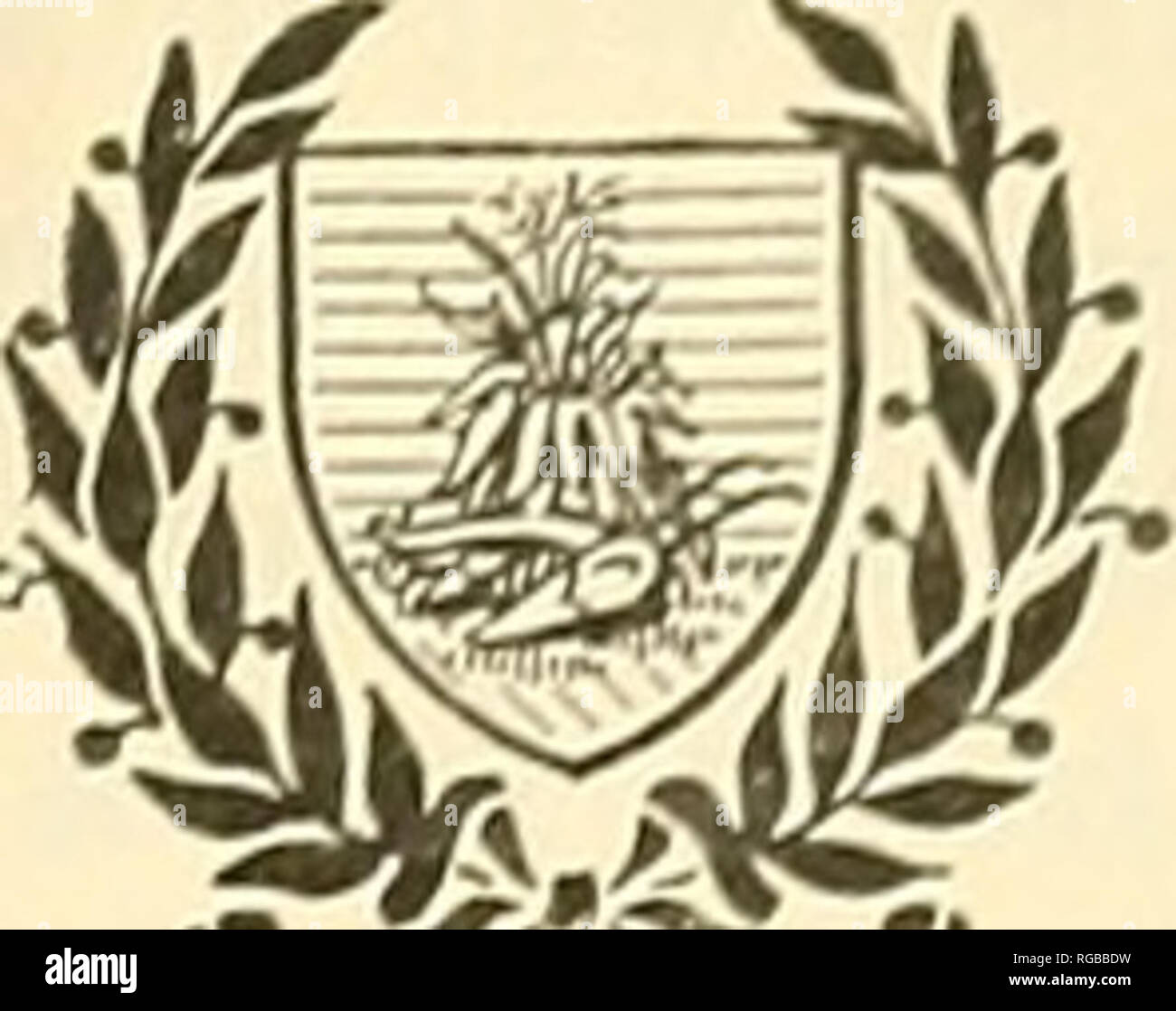 . Bollettino dell'U.S. Dipartimento di Agricoltura. Agricoltura; Agricoltura. GV-rfr'^u-^ contributo da parte dell'Ufficio di presidenza di Chimica CARL L. ALSBERG, Chief. S^fr ^&GT;J-u Washington, D. C. carta professionale. Maggio 2, 1918 UN WHEATLESS razione per il rapido aumento della carne sui giovani polli. Da M. E. Pennington, Chief, H. A. McAleer, investigatore del pollame e delle uova la manipolazione e A. D. Greenlee, assistente farmacia, assistita da A. W. Broomell, assistente farmacia, L. E. Harker, aiuti nel pollame e uova la manipolazione e H. L. Shrader, investigatore del pollame e delle uova di movimentazione, Food Research Laboratory. Composi Foto Stock