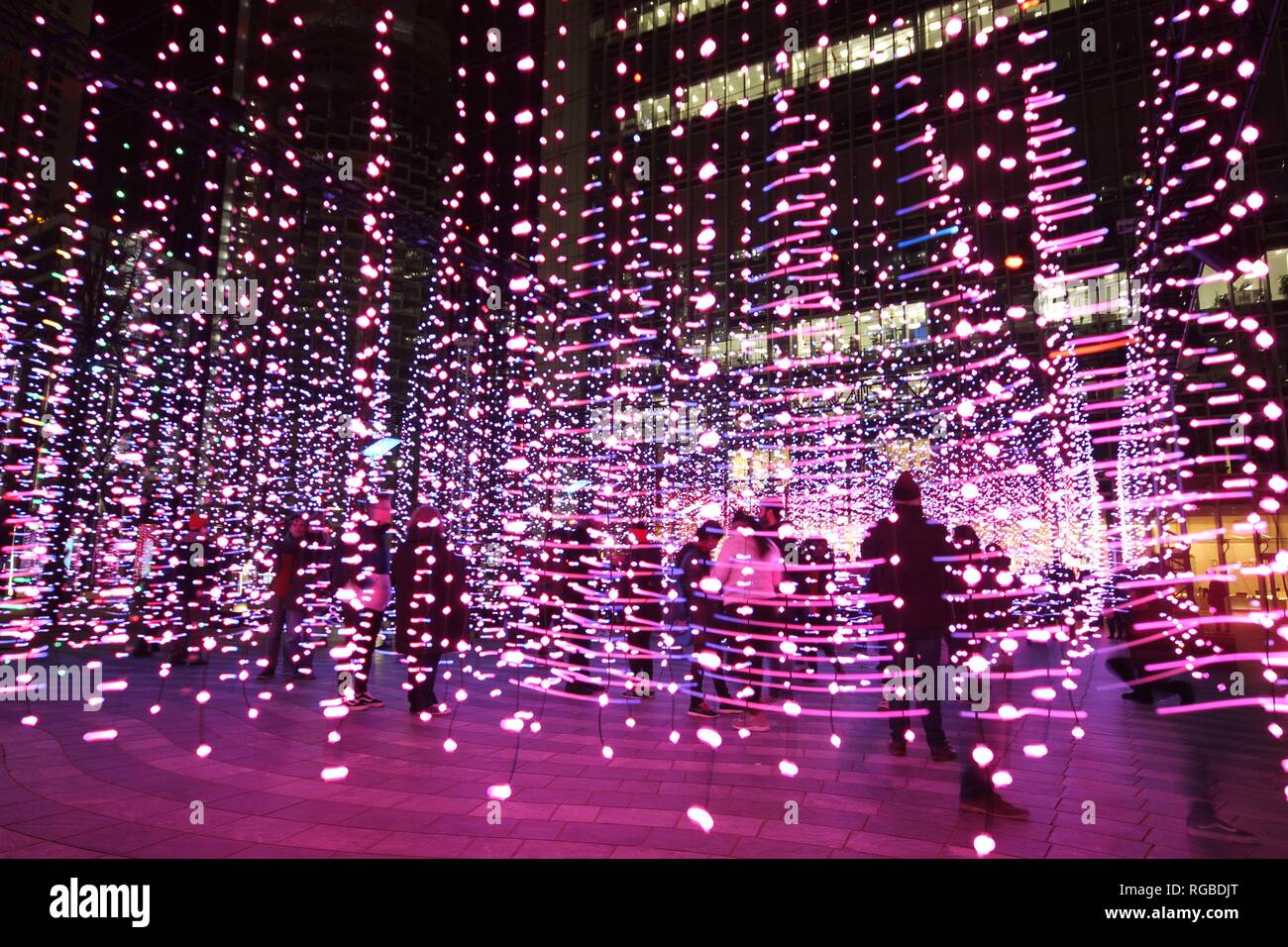Festival delle luci invernali a Canary Wharf mostra di blob, folla che visita digitale, spettacolo di luci a LED, porto, Londra, Inghilterra Foto Stock