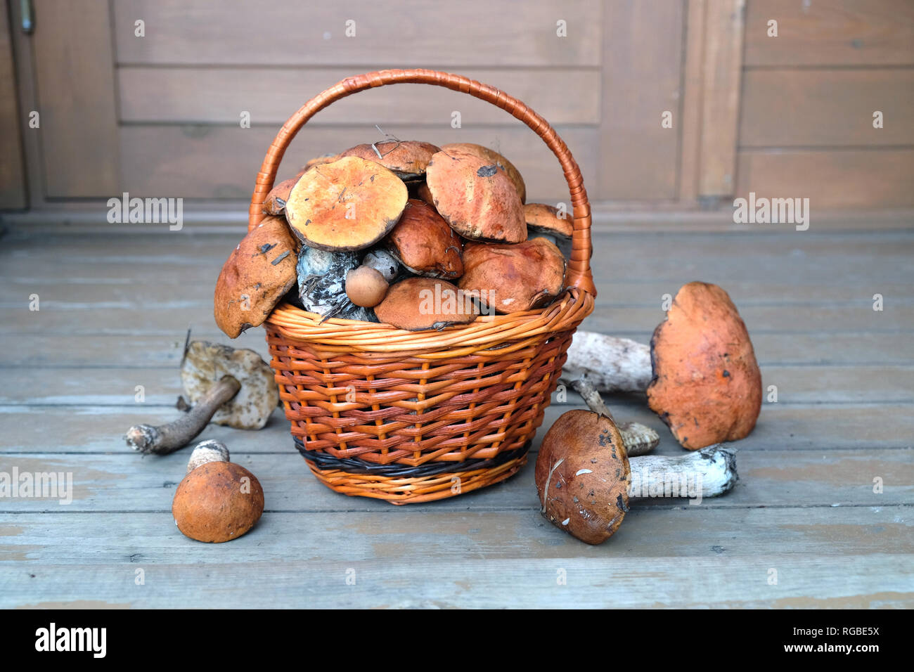 Vita Tranquilla con il raccolto di molti funghi commestibili in marrone vimini cesto su legno casa portico passi esterna frontale vista anteriore orizzontale Foto Stock