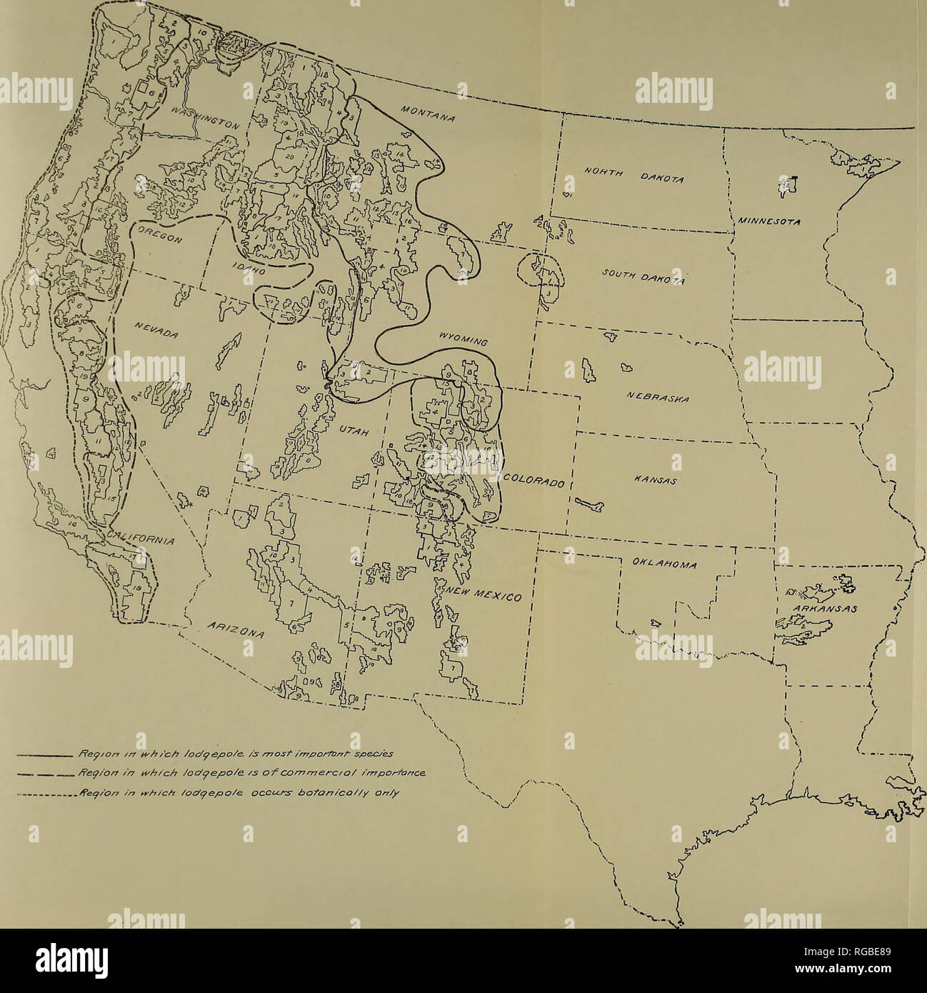 . Bollettino dell'U.S. Dipartimento di Agricoltura. Agricoltura; l'agricoltura. Idaho: 1. Boise. 2. Pend Oreille. 3. Coeur d'Alene. 4. Clearwater. 5. Nezperce. 6. Idaho. 7. Il Wieser. /O* /rr/tfhrc 7 /oG/Q&lt;spo/e- /jy più importante spec/'es /feo/a in cui iodtfepoie /s o-f commsrc/ai importanza. "M/feejion in cui io&amp;oepoie. occcc/^s" o haianicoiiy?// 9. Kaniksu. 10. Minidoka. 11. Pooatello. 12. Cache. 13. Caribou Coffee Company. 14. Palizzata. 15. Salmone. 16. Lemhi. 17. Challis. 18. Dente di sega. 19. St. Joe. 20. Selway. 21. Targhee. Montana: 1. Kootenai. 2. Sioux. 3. Lewis e Clark. 4. Di Flathead. 5. C Foto Stock