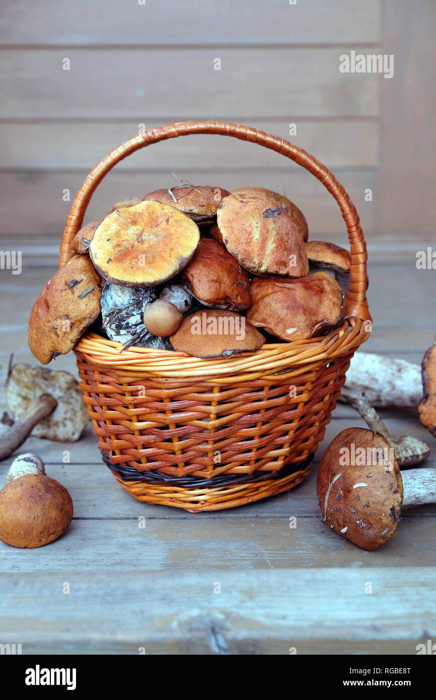 Vita Tranquilla con il raccolto di molti funghi commestibili in marrone vimini cesto su legno casa portico passi all'aperto vista anteriore verticale di primo piano Foto Stock