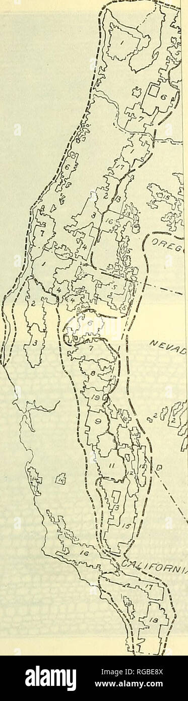 . Bollettino dell'U.S. Dipartimento di Agricoltura. Agricoltura; Agricoltura. ffegtor? /Rr se ft re . /?E.g/O7 trr wh/"cA ./Pea/t/7 Hsh/cfoy Idaho: 1. Boise. 2. Pend Oreille. 3. Coeur d'Alene. 4. Clearwater. 5. Nezperce. 6. Idaho. 7. Il Wieser. 8. Payette. 9. Kaniksu. 10. Minidoka. 11. Pocatello. 12. Cache. 13. Caribou Coffee Company. 14. Palizzata. 15. Salmone. 16. Lemhi. 17. Challis. 18. Dente di sega. 19. St. Joe. 20. Selway. 21. Targhee. Montana: 1. Kootenai. 2. Sioux. 3. Lewis e Clark. 4. Di Flathead. 5. Armadio. 6. Lolo. 7. Bitterroot. 8. Missoula. 9. Deerlodge. 10. Beaverhead. 11. Madison. 12. Gallatin. 13. Egli Foto Stock