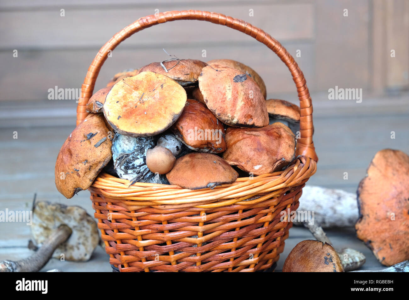 Vita Tranquilla con il raccolto di molti funghi commestibili in marrone vimini cesto su legno casa portico passi esterna frontale vista anteriore orizzontale Foto Stock