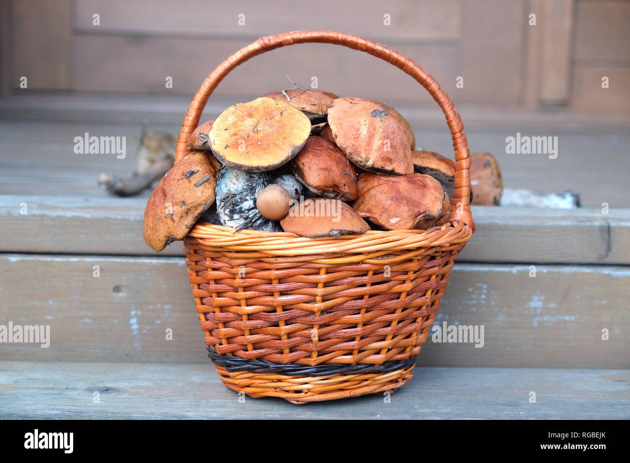 Vita Tranquilla con il raccolto di molti funghi commestibili in marrone vimini cesto su legno casa portico passi esterna frontale vista anteriore orizzontale Foto Stock