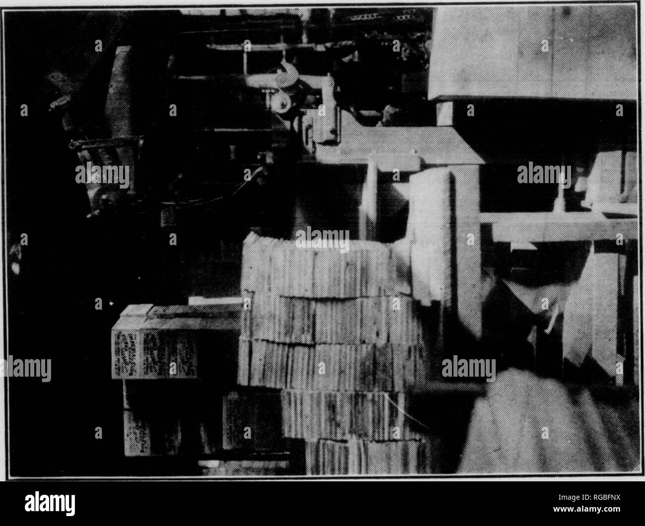 . Bollettino (Pennsylvania Dipartimento di silvicoltura), n. 8-9. Le foreste e la silvicoltura. o 11^ = o essere un 3^ a; C C3 bc-M o bC Tabella 47-concluso. Tipo di legno. Quantità. a a 0. Sis o v" d 0) O o coltivati in Pennsyl- Vania. Cresciuto Oti; di Peun- aylvanla. a un; cedro rosso, Redwood Cherry (nero), C&LT;"tton gum, Douglas flr Hickory, noce HIack rosso e argento acero. Pino Scrub cedro rosso dell'Ovest, ... Balsam flr, giallo buckeye, Tamarack Sycamore Sitka Spruce, Butternut, bianco olmo, meridionale cedro bianco, Circassian Il noce, ... ?Totale meno di 1-100 del 1 per cento. 213.000 .08 49 27 1".07 7,132 49 19 177,385 .06 Foto Stock