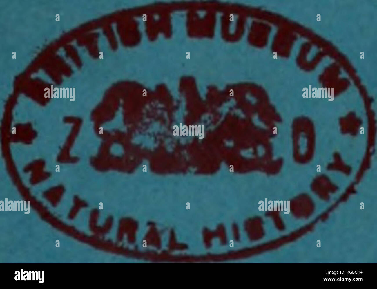 . Bollettino della nomenclatura zoologica. Volume 20. Parte 3. Xxvi Aprile, 1963 pp. 161-240, 1 piastra. Il bollettino della nomenclatura zoologica. PU.vs,HAim. 'St'organo ufficiale della Commissione internazionale sulla nomenclatura zoologica Indice Pagina lettera aperta del presidente della fiducia al Presidente della Commissione internazionale ... ... ... ... ... 161 comunicazioni prescritte dal Congresso Internazionale di Zoologia : Data di inizio dalla Commissione internazionale sulla nomenclatura zoologica del voto su applicazioni pubblicate nel bollettino della nomenclatura zoologica ... ... ... 163 N Foto Stock