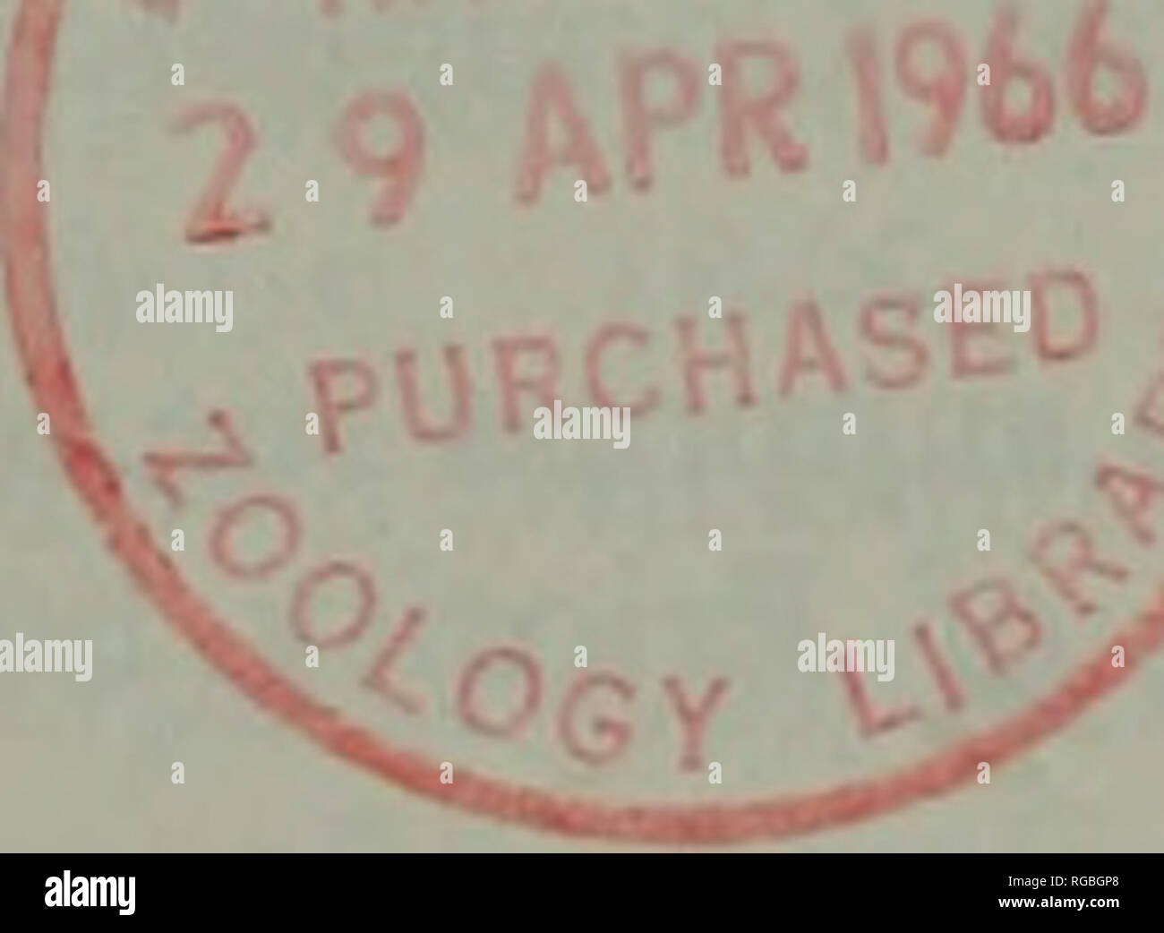 . Bollettino della nomenclatura zoologica. 64 bollettino della nomenclatura zoologica (c) caeruleovittata Richardson, 1846, pubblicata nel binomen Clupea caeruleovittata; (d) clathrata Richardson, 1844, pubblicata nel binomen Anguilla clathrata; (3) Posizionare i seguenti nomi nella lista ufficiale dei nomi specifici in zoologia; (a) fimbriata Valenciennes, 1847, come pubUshed nel binomen Spratella fimbriata; {h)aurita Valenciennes, 1847, pubblicata nel binomen Sardinella aurita; (c) leiogaster Valenciennes, 1847, pubblicata nel binomen Sardi- nella leiogaster; (d) japonica Temminck &a Foto Stock