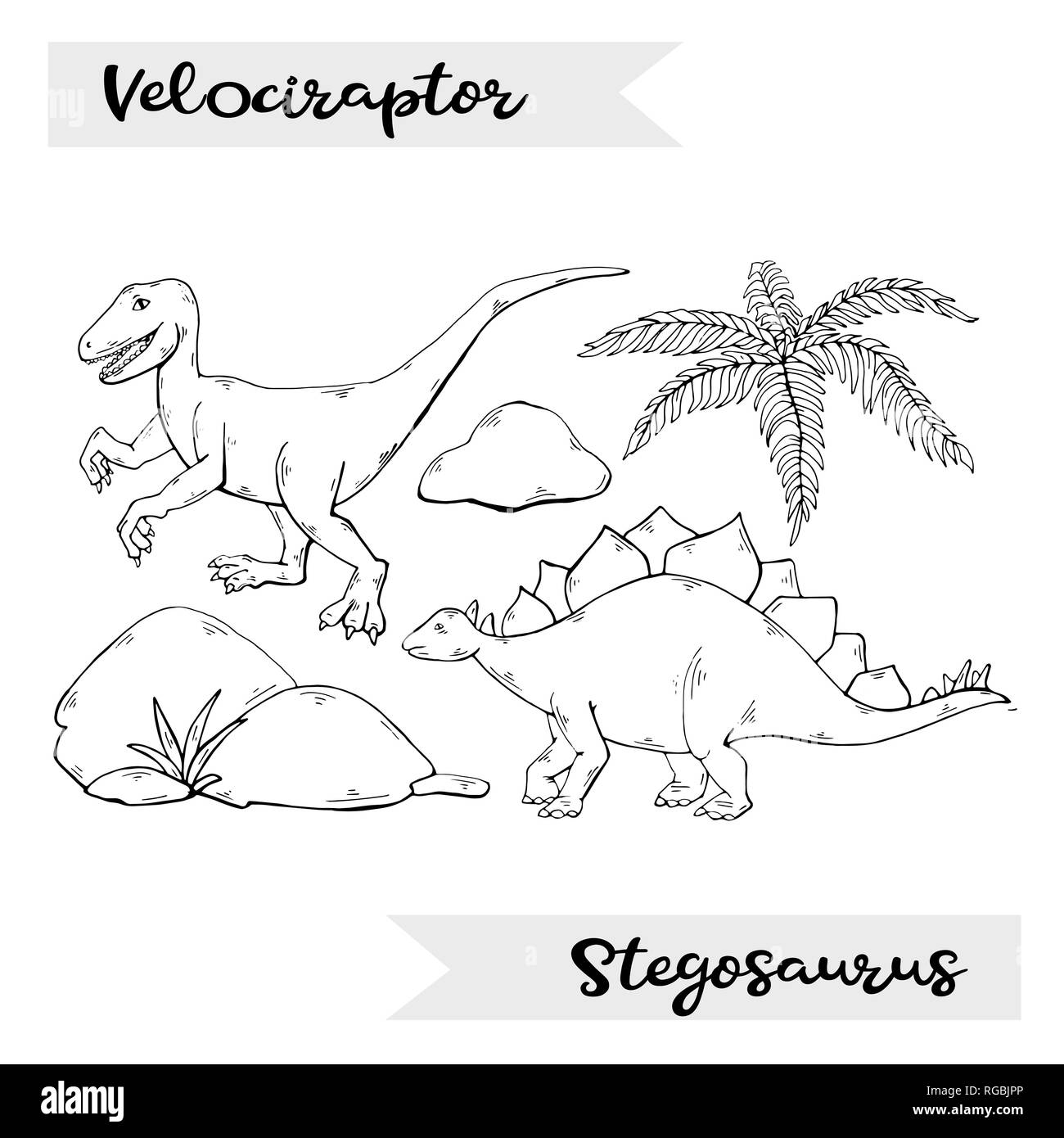 Vector Velociraptor e Stegosaurus isolato su uno sfondo bianco Illustrazione Vettoriale