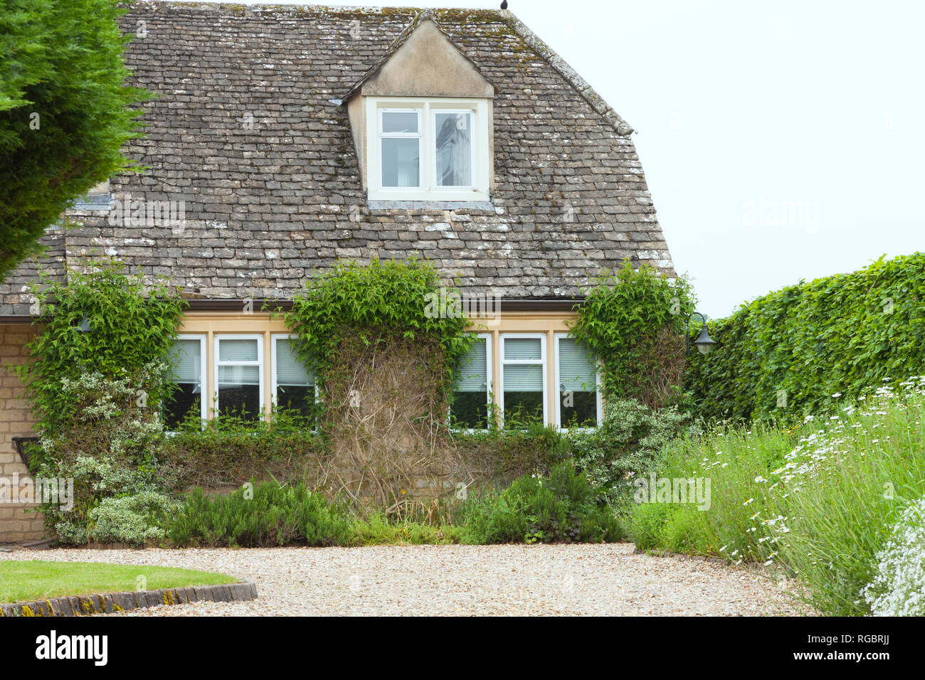 Tradizionale cottage inglese con pietra carraio e piante fiorite, arbusti in giardino anteriore . Foto Stock