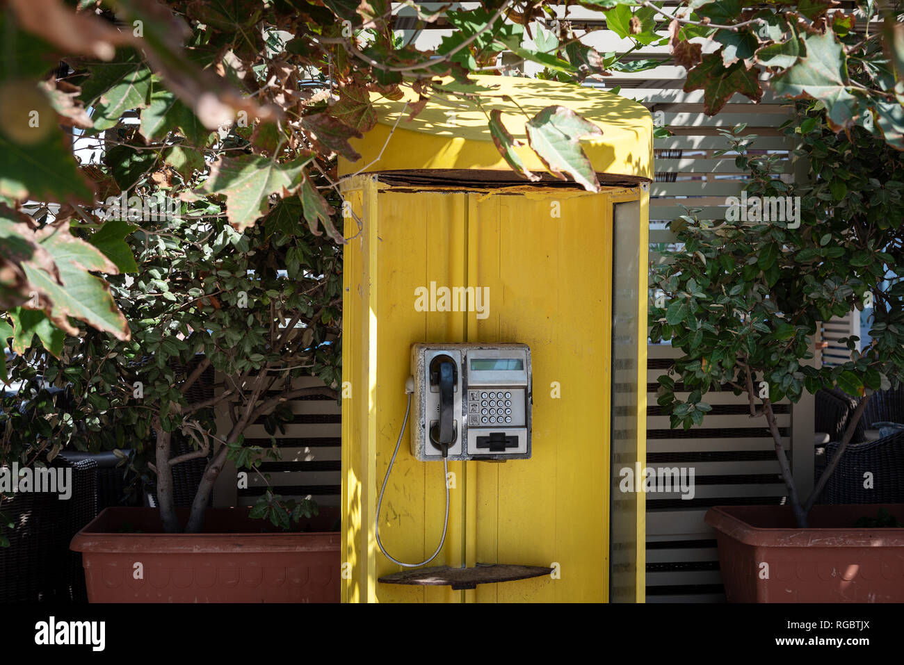 Vecchio giallo abbandonato cabina telefonica tra piante verdi Foto Stock