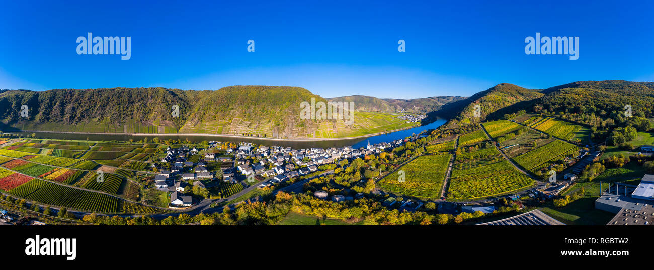 Germania, Cochem-Zell, Biedern, vigneti, Rueberberger Domherrenberg Foto Stock