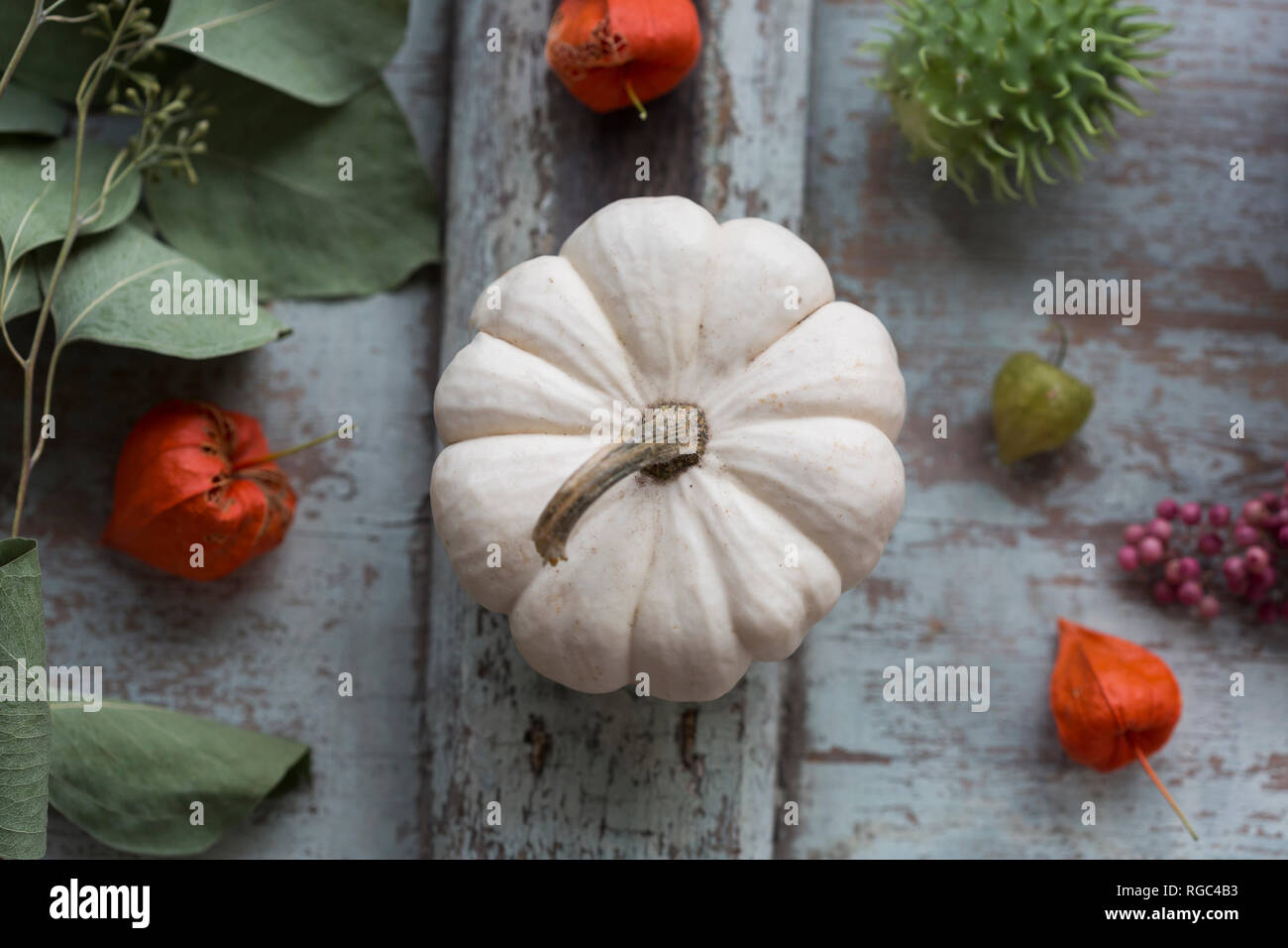 Decorazione autunnale con bianco zucca decorativa, le lanterne cinesi, e foglie Foto Stock