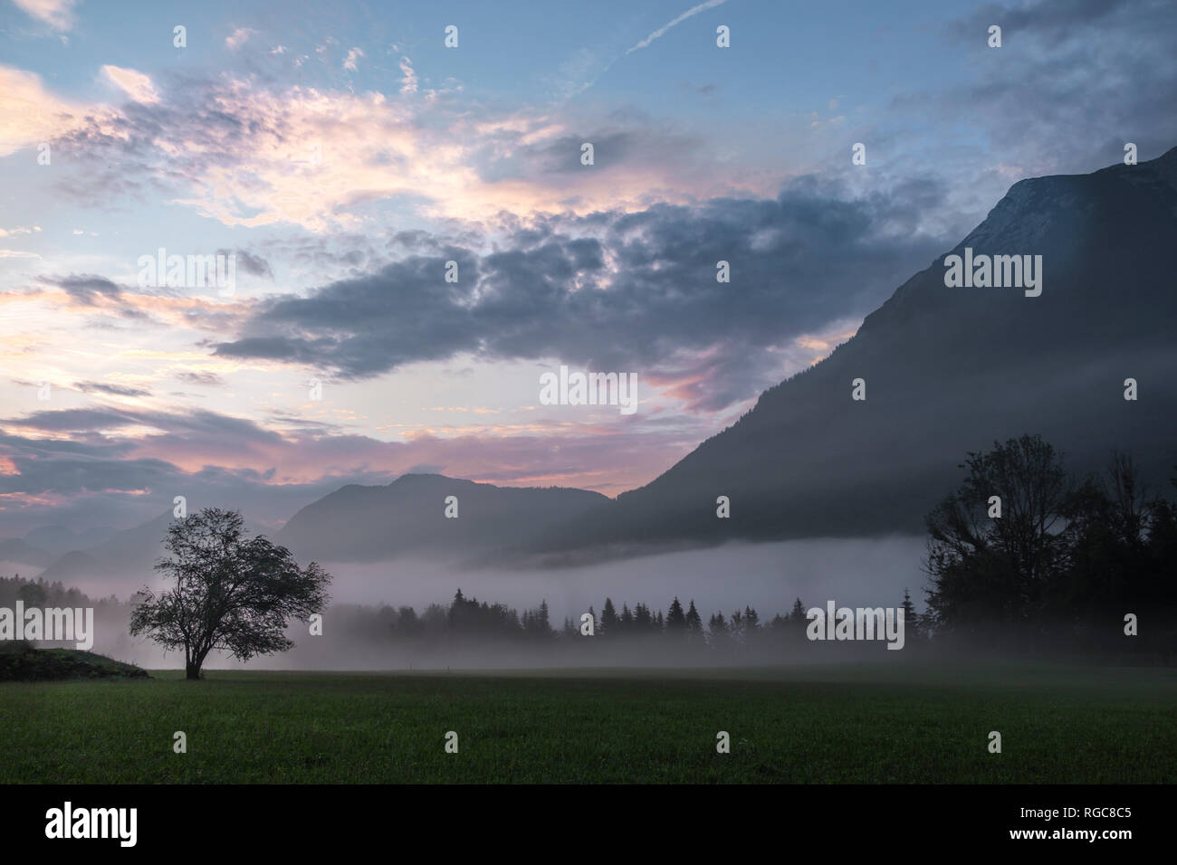 Austria, Ausseer Land, paesaggio nella nebbia di mattina Foto Stock