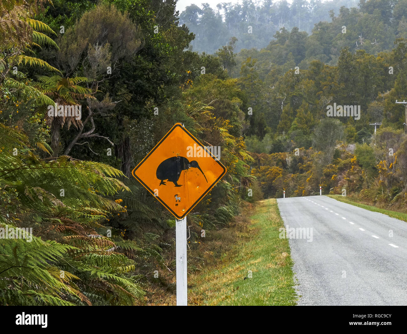 Kiwi cartello stradale sulla costa ovest della Nuova Zelanda Foto Stock