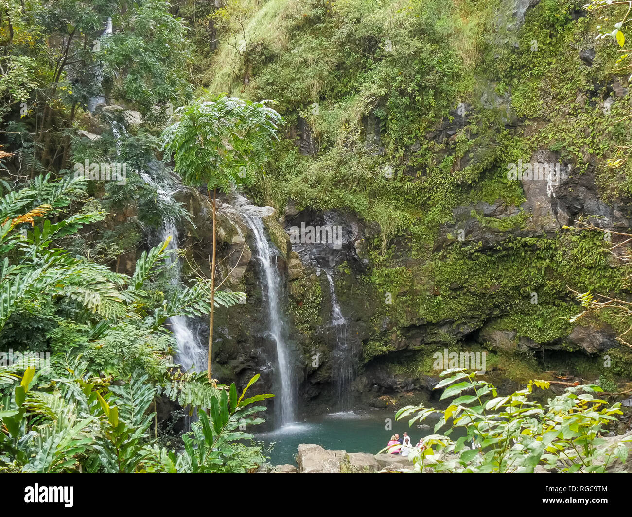Lussureggiante cascata nella foresta di pioggia in strada di hana in Maui, Hawaii Foto Stock