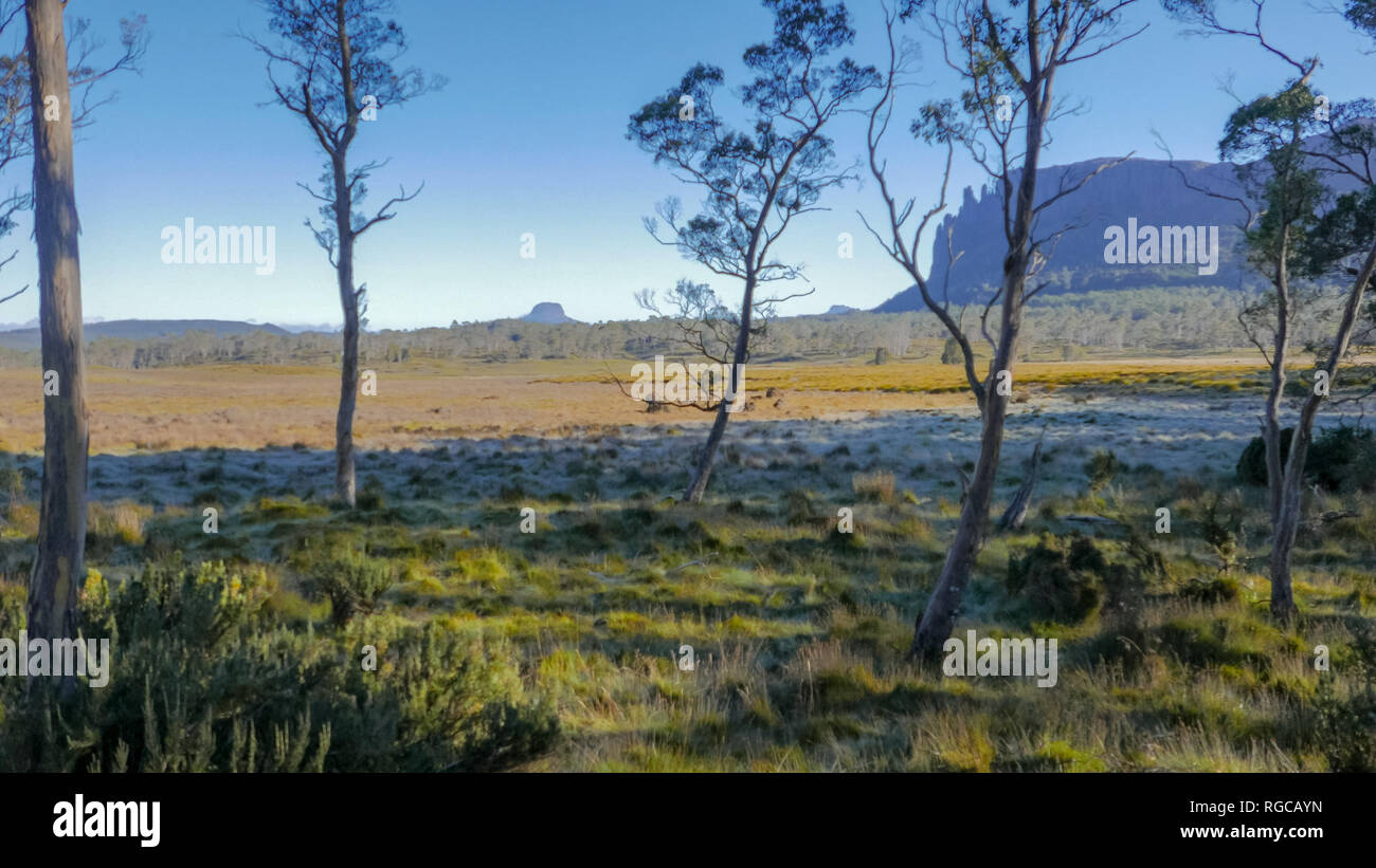 La mattina presto vista del monte oakleigh e fienile bluff da new pelion hut sull'Overland Track in Cradle Mountain National Park, Australia Foto Stock