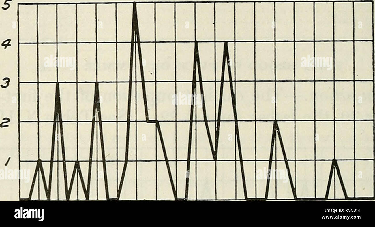 . Bollettino dell'U.S. Dipartimento di Agricoltura. Agricoltura; l'agricoltura. 20 Bollettino 252, U. S. Dipartimento di Agricoltura. Tabella XIV -tempo di insorgenza della tignola del primo o estate covata, Winthrop, Me., 1913. Data di totale data di Totale emergenza. emergere. emergere. emergere. 7 Agosto 1 agosto 23 4 9 3 24 2 11 1 25 1 13 3 26 4 16 1 27 2 17 5 31 2 18 2 sett. 1 1 19 20 2 1 6 1 36 Tempo dell'ovoposizione.-le uova prima dell'estate-brood falene sono stati depositati il 15 agosto l'ultimo erano prevista settembre 25. (Vedere Tabella XV.). v v. --* &Gt;. v CM UI GU &LT;l *" agosto sett. Fig. 4.-diagramma che mostra em Foto Stock
