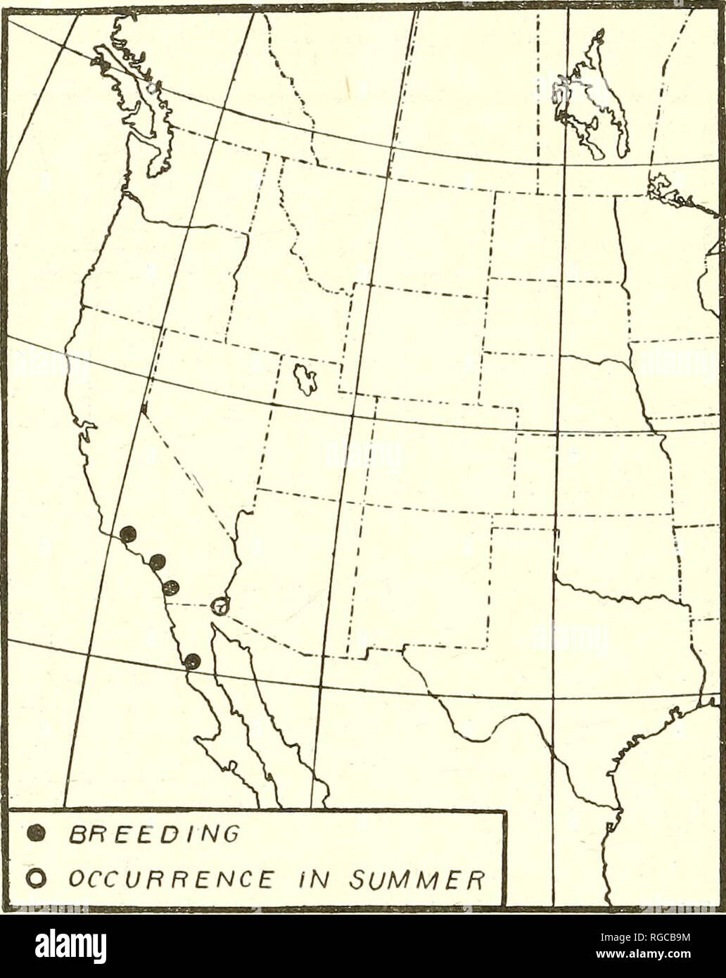 . Bollettino dell'U.S. Dipartimento di Agricoltura. Agricoltura; l'agricoltura. 20 Bollettino 128, U. S. Dipartimento di Agricoltura. Le uova sono state prese vicino all isola di Cobb, Virginia, dal 19 maggio 1894, a luglio 17, 1884 (esemplari in U. S. museo nazionale); pietra Har- bor, N. J., 28 maggio 1907 (Carter), a luglio 7, 1903 (Miller); e Sud Oyster Bay, N. Y., 24 maggio 1884 (esemplari in U. S. Museo Nazionale). Gli uccelli che in inverno in Georgia a volte vi rimangono fino a dopo l'allevamento locale di uccelli hanno uova, poiché esemplari di crepitans sono state adottate il 4 aprile, 1896, presso San Marys, Ga., mentre le uova di waynei sono state Foto Stock