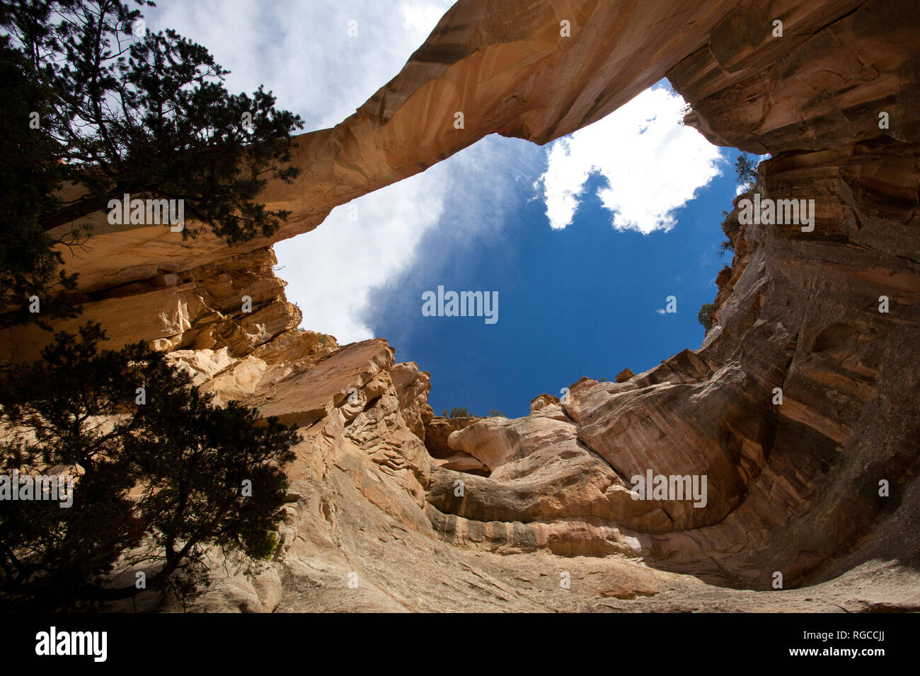 La ventana Arco Naturale, Cibola County, Nuovo Messico, STATI UNITI D'AMERICA Foto Stock