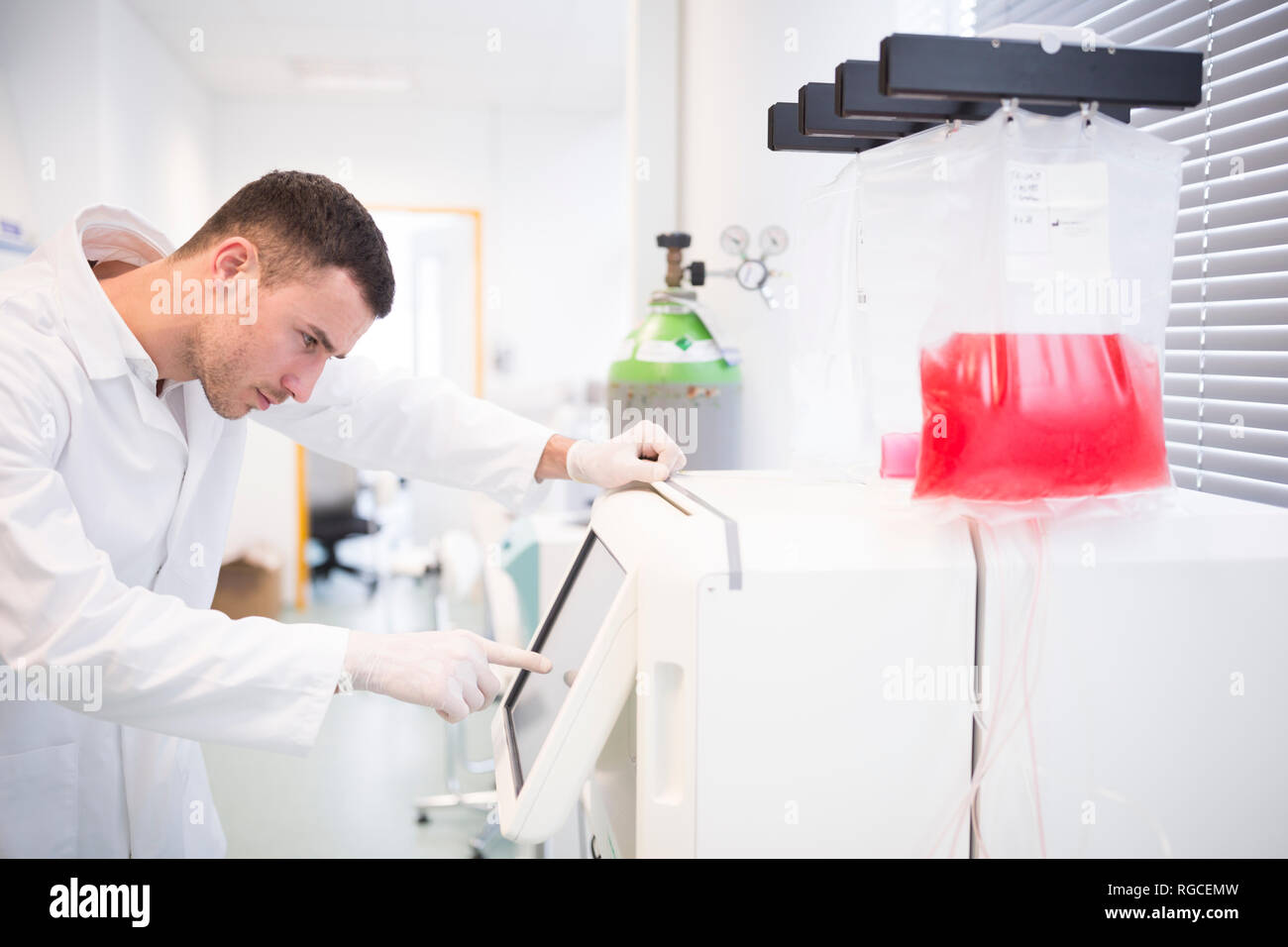Scienziato che lavora in laboratorio Foto Stock