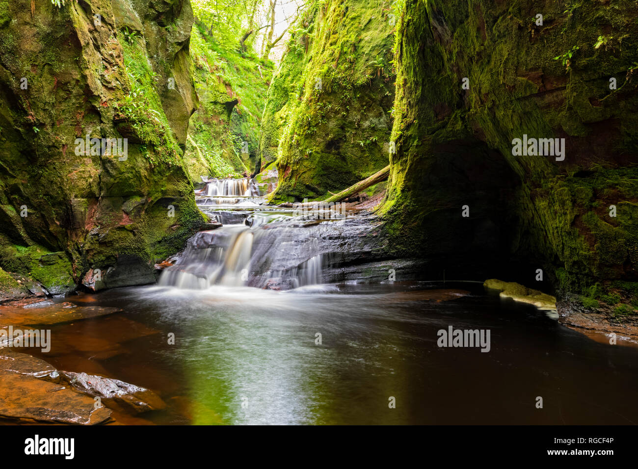 Gran Bretagna, Scozia, Trossachs National Park, Finnich Glen Canyon, Il diavolo il pulpito, Fiume Carnock masterizzare Foto Stock