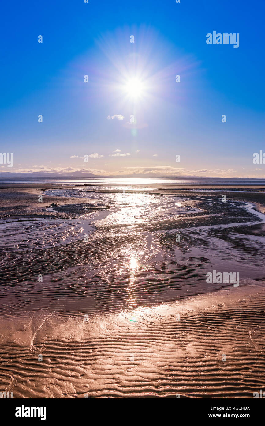 Regno Unito, Scozia, Solway Firth, velme Foto Stock