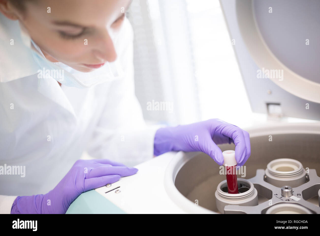 Scienziato in laboratorio mettendo il campione di sangue nella centrifuga Foto Stock