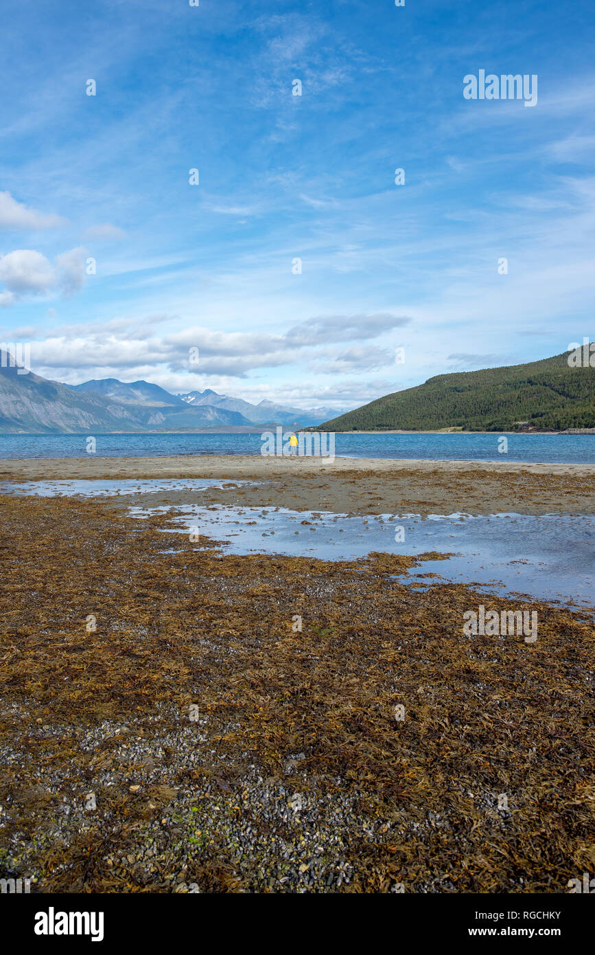 Norvegia, donna al fiordo di Lyngen Foto Stock