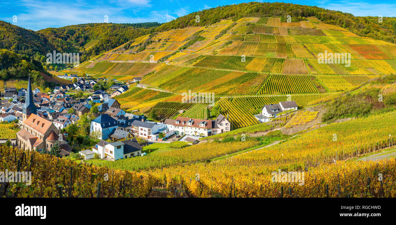 Weinberge im Herbst, MayschoÃŸ, Ahrtal, hier wird Rotwein der Spaetburgunder und Portugieser Traube angebaut, Rotweinanbaugebiet, Eifel, Rheinland-Pfa Foto Stock