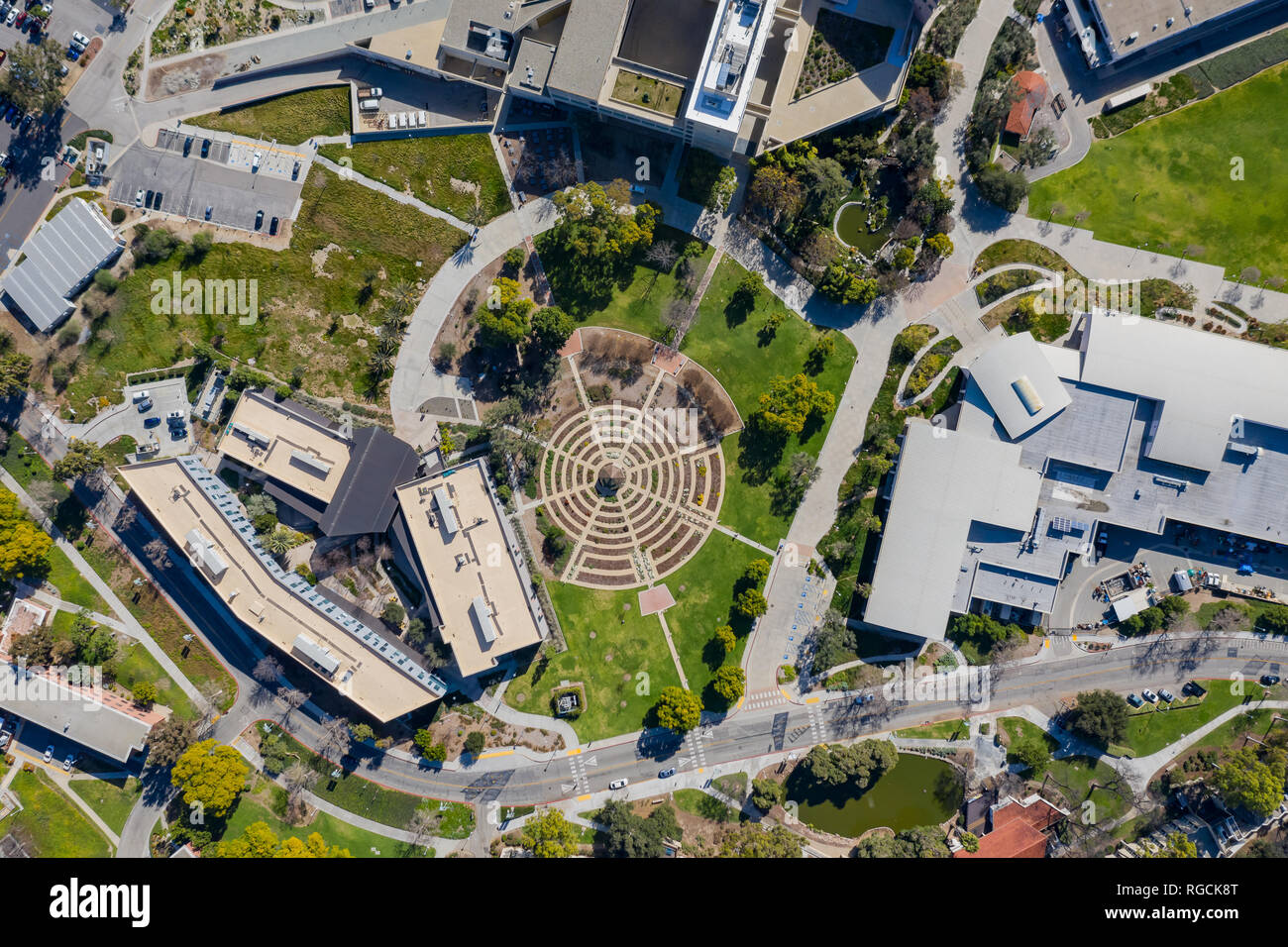 Vista in pianta dall'alto del bellissimo giardino di rose di Cal Poly Pomona a Los Angeles County, California Foto Stock