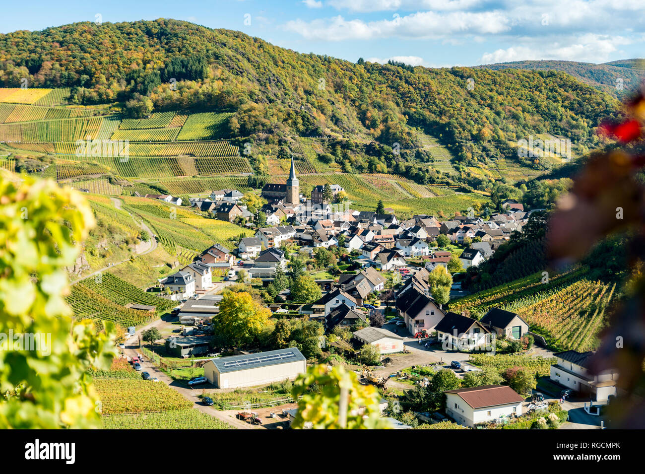 In Germania, in Renania Palatinato, Valle dell'Ahr, Maischoss, villaggio del vino Foto Stock