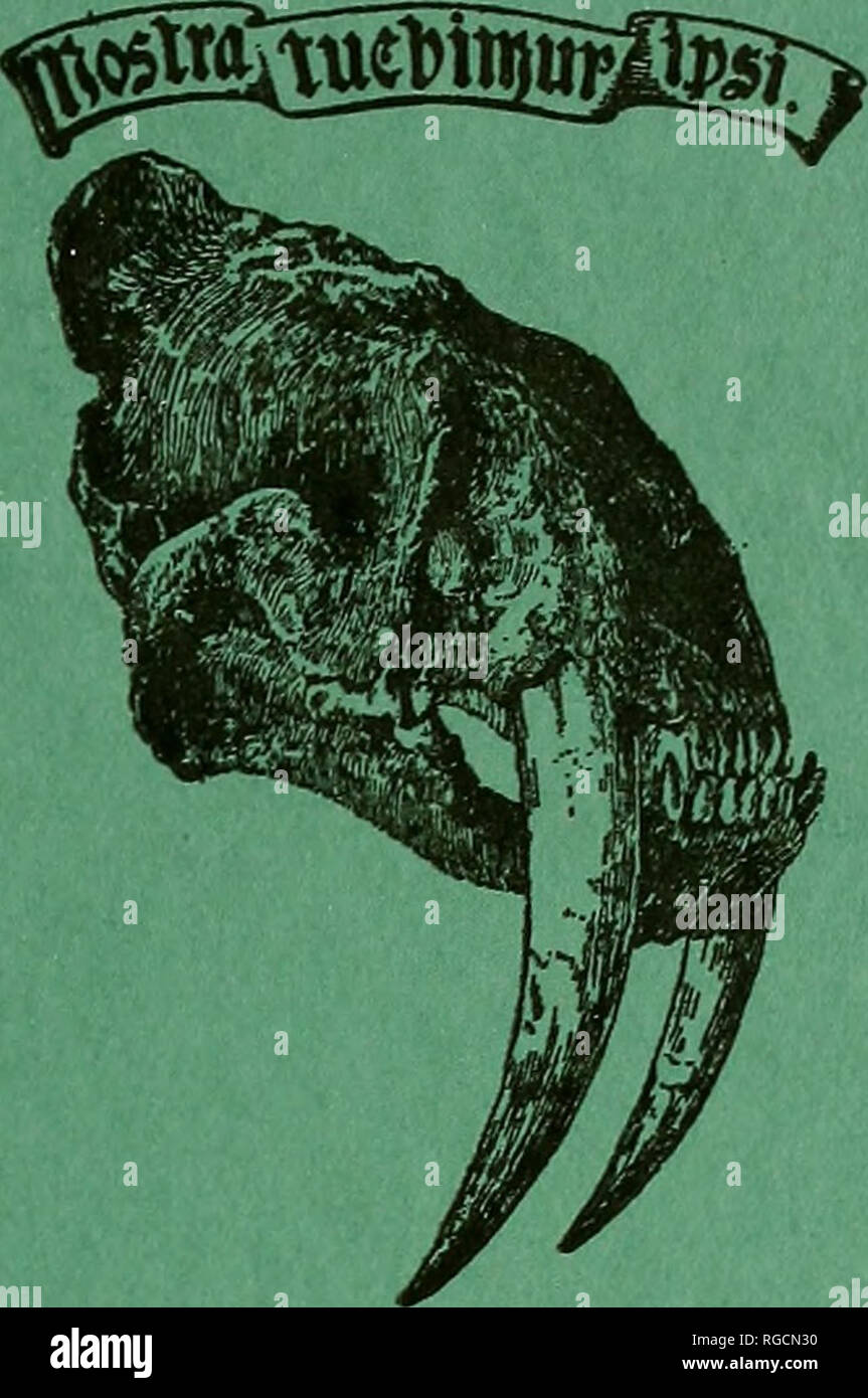 . Bollettino del sud della Accademia delle Scienze della California. Scienza e storia naturale; storia naturale. Bollettino del sud della Accademia delle Scienze della California di Los Angeles, California. VoL XXVIII settembre-dicembre 1929 Parte 3 Contenuto pagina SHELL GANCI DI PESCE DEL CHUMASH 41 Arthur Woodward sordità fra antichi indiani CALIPORNIAN - 46 Roy L. Moodie, Ph. D. SrrUDIES nella costa del Pacifico LEPIDOPTERA 50 John A. Comstock un COIOfUNICATION 59 Alfred Knight rilasciato il 15 febbraio 1930. Si prega di notare che queste immagini vengono estratte dalla pagina sottoposta a scansione di immagini che possono essere state migliorate digitalmente per readabilit Foto Stock