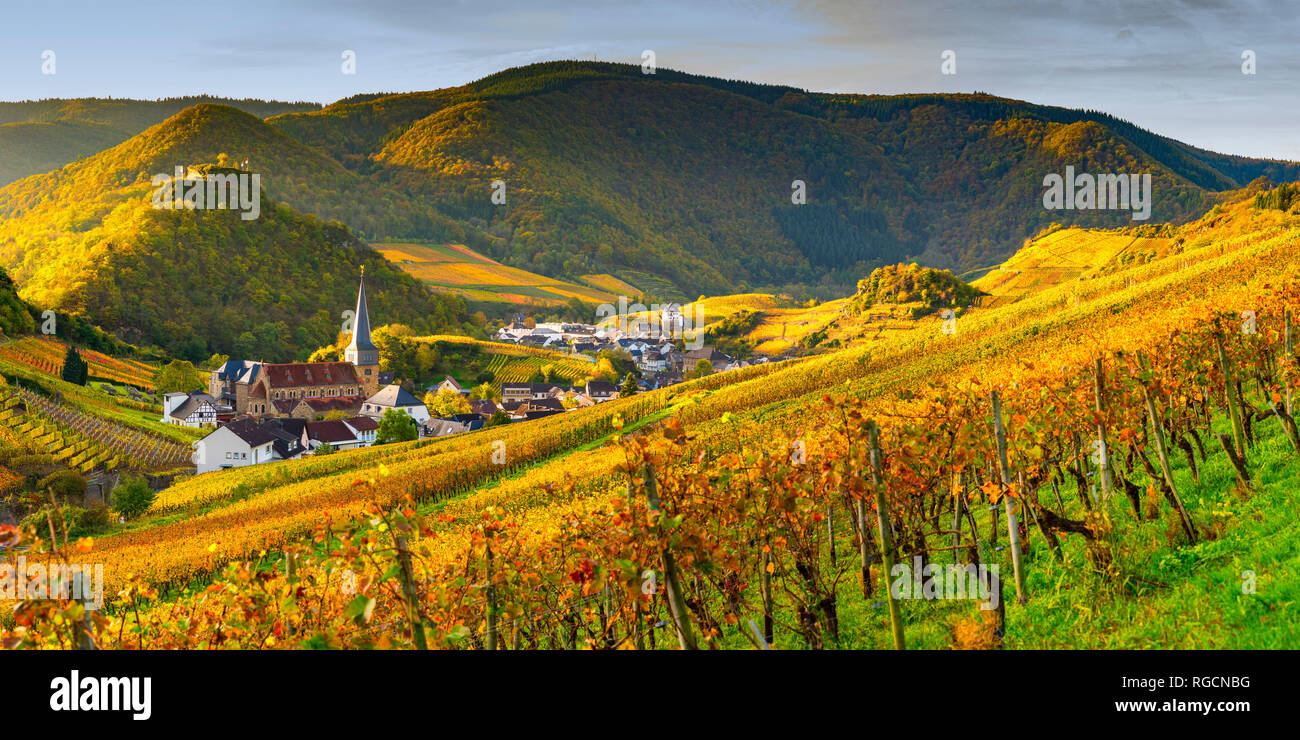 Weinberge im Herbst, Mayschoß, Ahrtal, hier wird Rotwein der Spaetburgunder und Portugieser Traube angebaut, Rotweinanbaugebiet, Eifel, Rheinland-Pfal Foto Stock