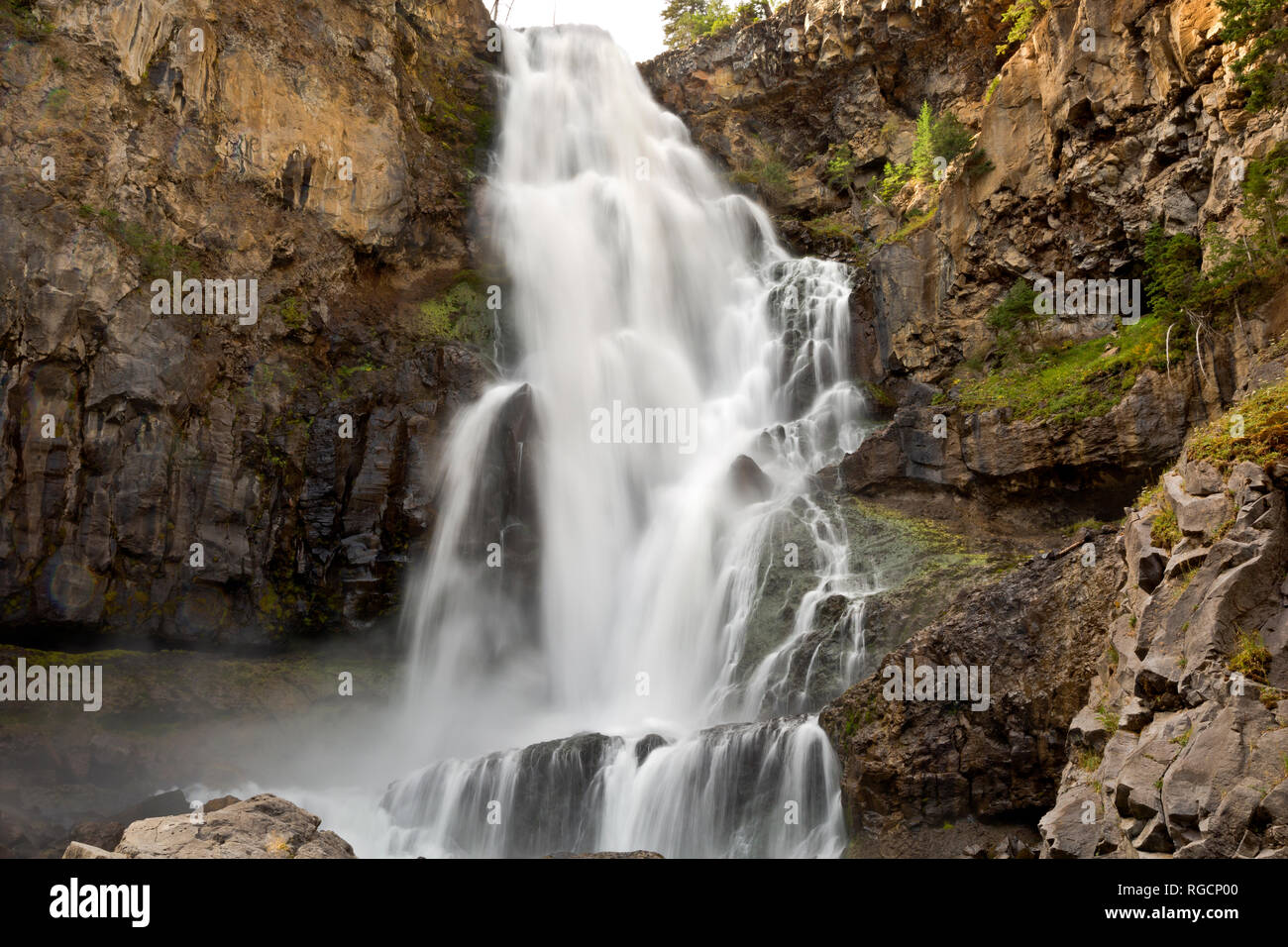 WY03708-00...WYOMING - Osprey cade sulla Gardner River nel Parco Nazionale di Yellowstone. Foto Stock