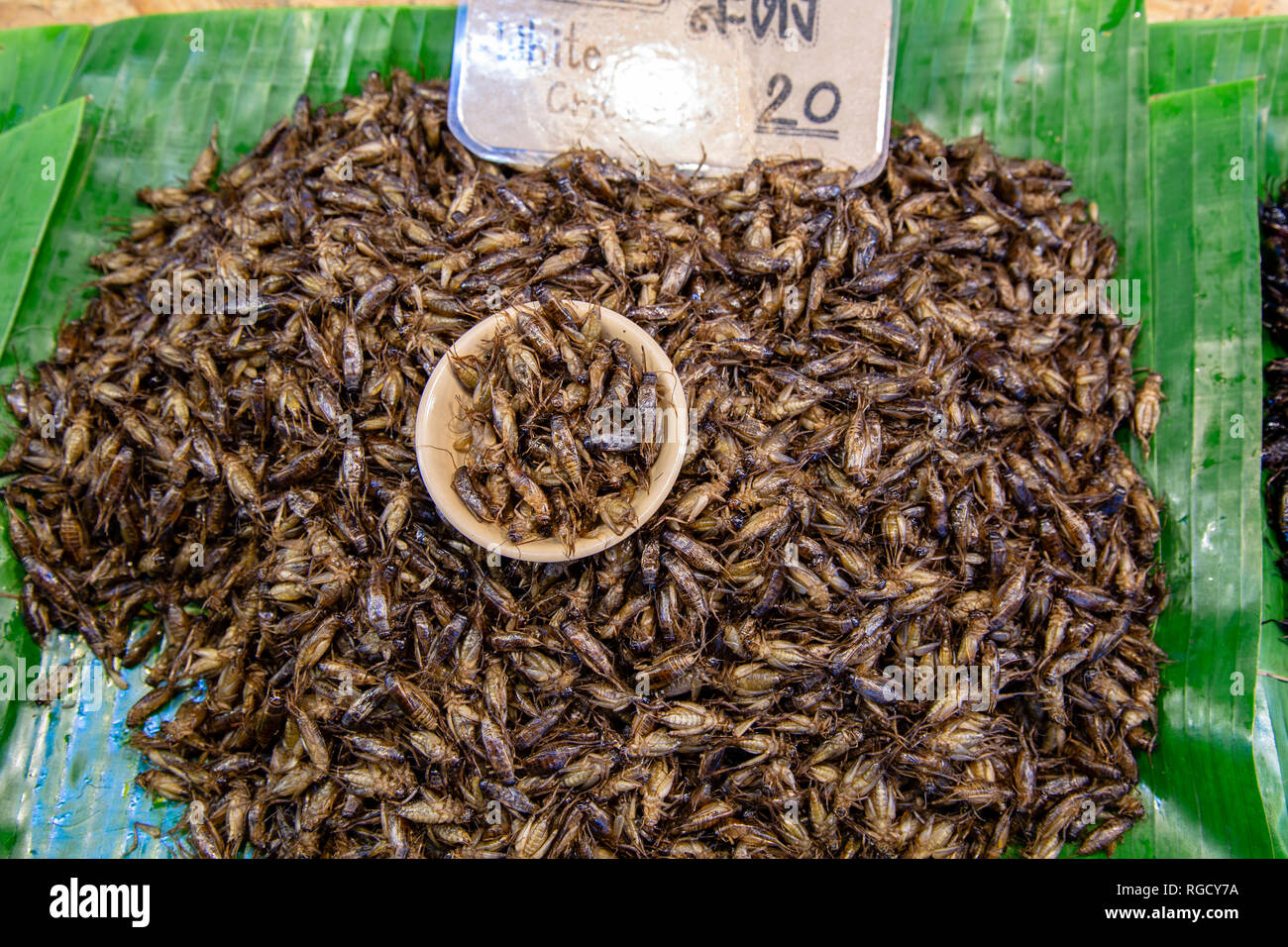 Una disposizione di un tradizionale Thai street food snack fritti di bug o insetti trovati nel mercato locale. Foto Stock