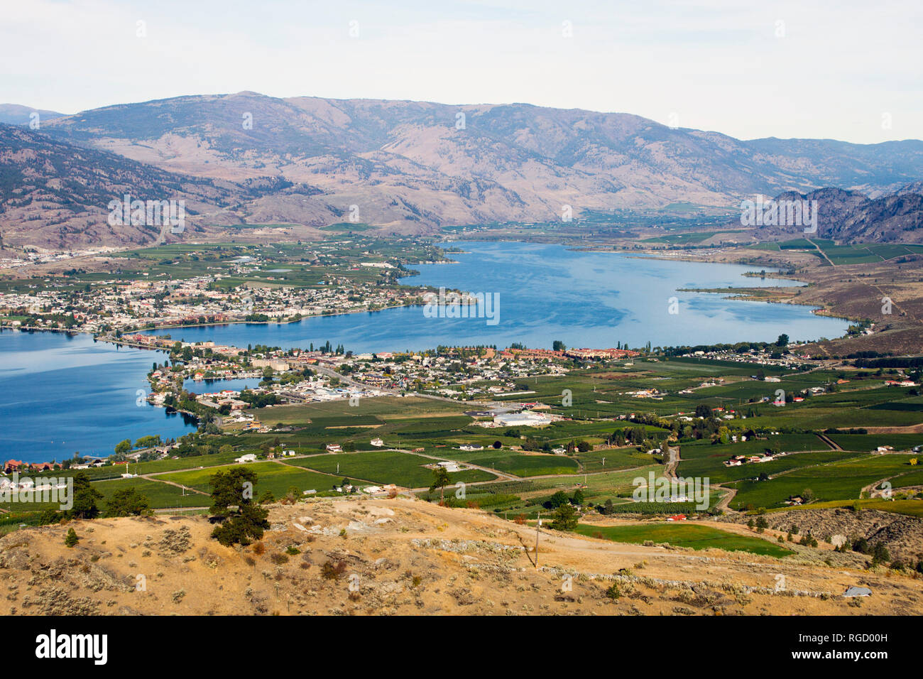 Vista di agricoltura e il vigneto cantina che si affaccia Osoyoos e Osoyoos lago situato nella Okanagan Valley in British Columbia, Canada. Foto Stock