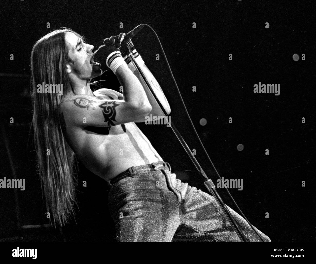 Red Hot Chili Peppers Anthony Kiedis in concerto a grandi boschi in Mansfield MA, USA 1992 foto di bill Belknap Foto Stock