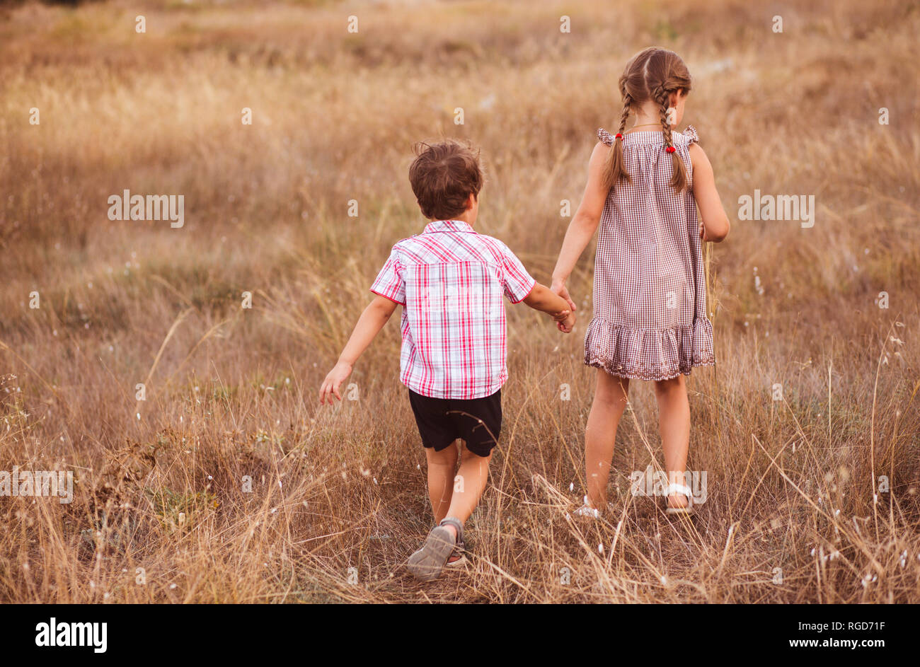 I bambini in esecuzione nel grano al tramonto. Fratello e Sorella di camminare insieme nella campagna. Foto Stock