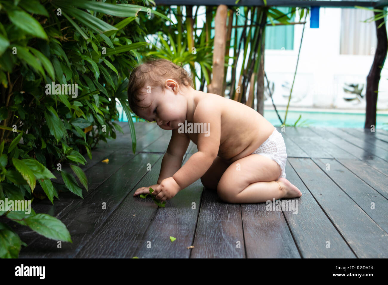 Piuttosto strisciando baby ragazza sorridente e strisciando sul legno marrone marciapiede sullo sfondo di cespugli verdi Foto Stock