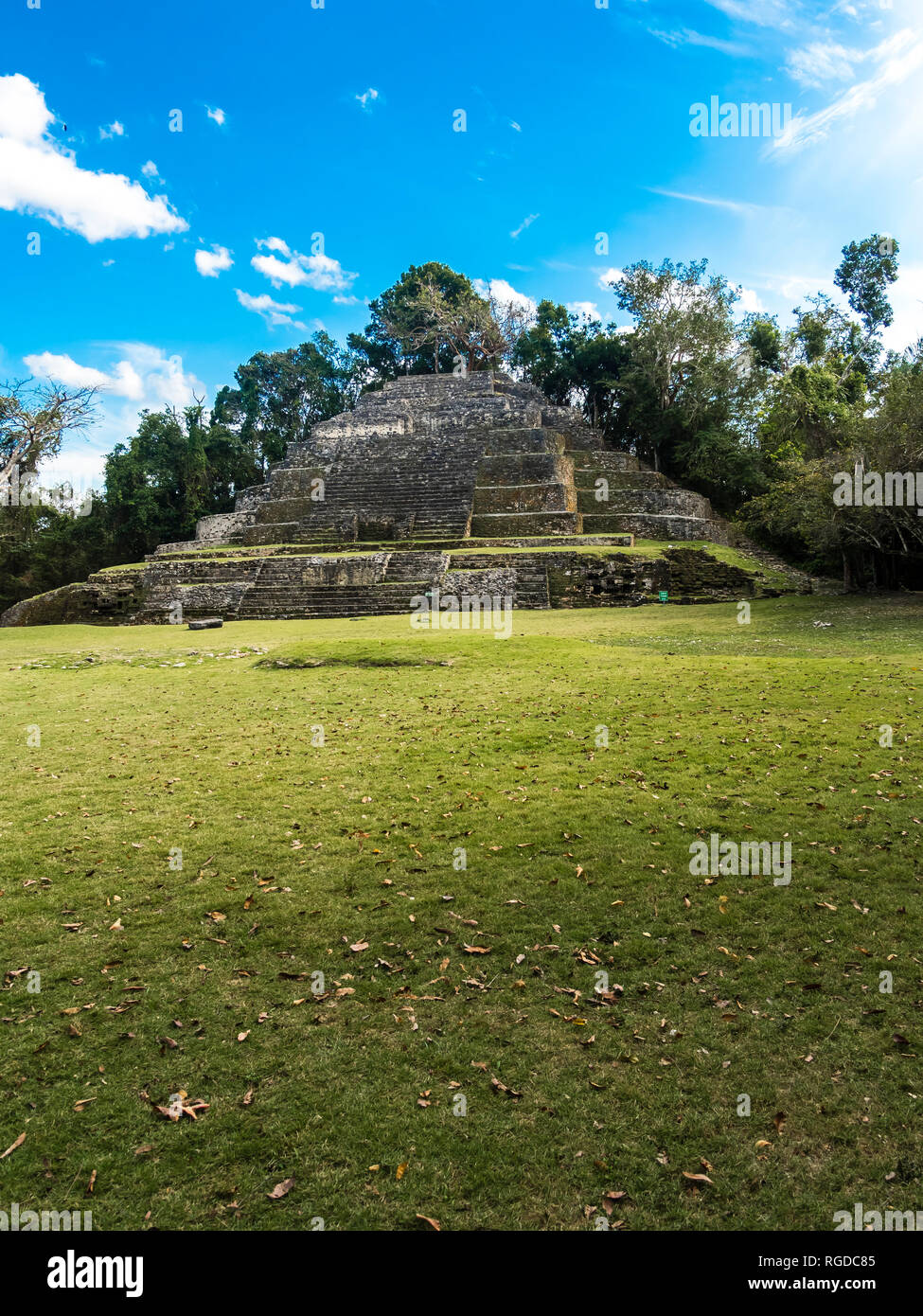 America centrale, il Belize, la penisola dello Yucatan, New River, Lamanai, Maya rovina, Jaguar tempio Foto Stock