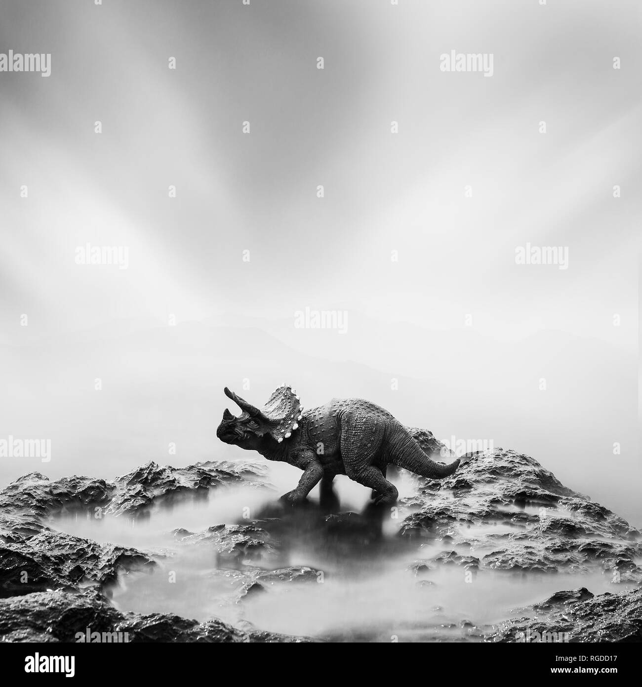 Un giocattolo dinosauro su una pietra in bianco e nero, con esposizione lunga Foto Stock