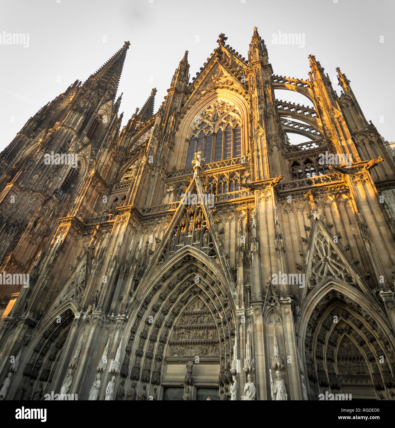 Germania, Colonia, vista del lato meridionale del duomo di Colonia dal tramonto Foto Stock